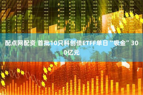 配点网配资 首批10只科创债ETFF单日“吸金”300亿元