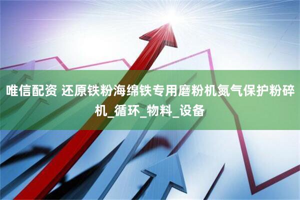 唯信配资 还原铁粉海绵铁专用磨粉机氮气保护粉碎机_循环_物料_设备