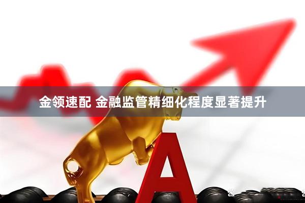 金领速配 金融监管精细化程度显著提升