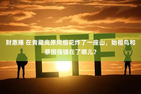 财惠赚 在青藏高原用烟花炸了一座山，始祖鸟和蔡国强错在了哪儿？