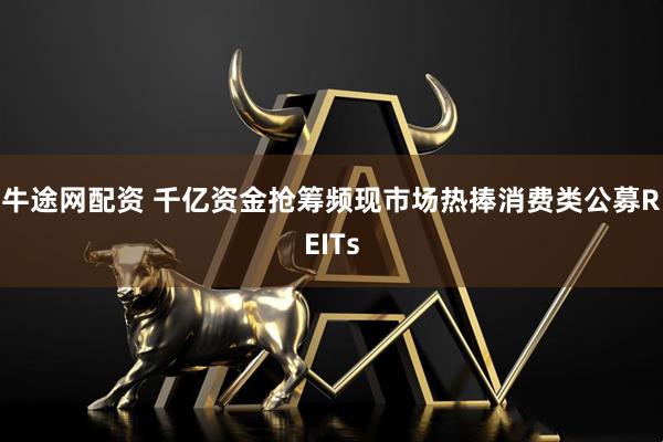 牛途网配资 千亿资金抢筹频现　市场热捧消费类公募REITs