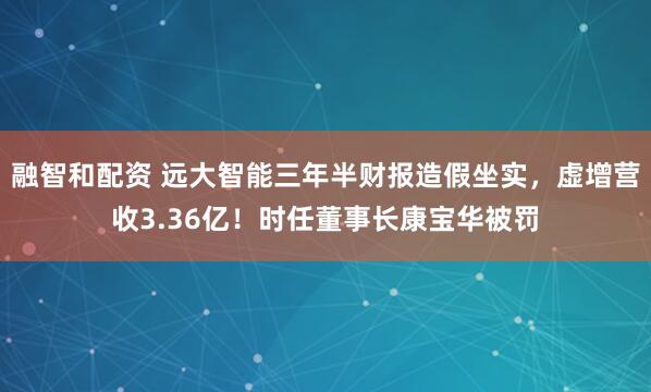 融智和配资 远大智能三年半财报造假坐实，虚增营收3.36亿！时任董事长康宝华被罚