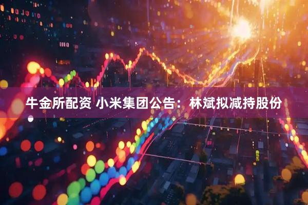 牛金所配资 小米集团公告：林斌拟减持股份