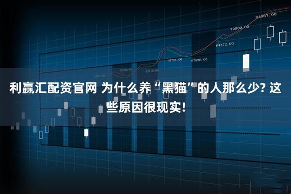 利赢汇配资官网 为什么养“黑猫”的人那么少? 这些原因很现实!