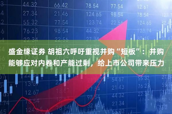 盛金缘证券 胡祖六呼吁重视并购“短板”：并购能够应对内卷和产能过剩，给上市公司带来压力
